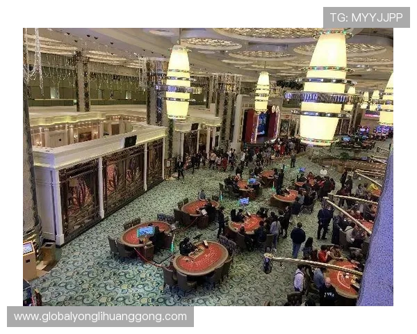 永利赌场是谁的合法所有者，分析其所有权合法性及相关法律背景