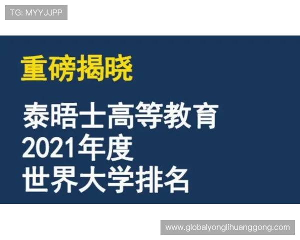 全面解析304永利官网网址的最新登录方式与安全措施，助您轻松畅玩无忧